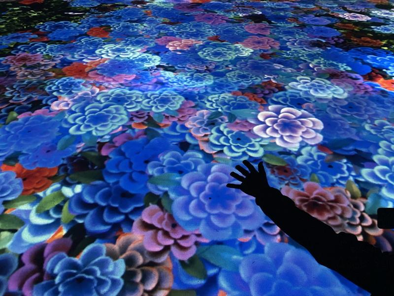 Motion Experience in Eindhoven